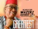 Waziri Oshomah – Take Life As You See