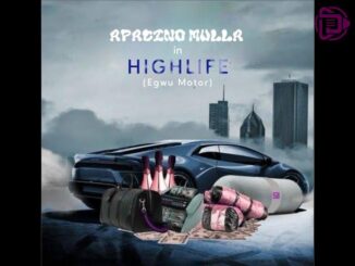 Apacino Mulla – Egwu Motor