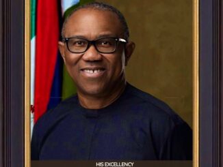 Peter Gregory Obi Real Name, Age, Net Worth, Education, Wife, Children, wikipedia & Political Career