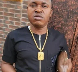 Chief Michael Udegbi