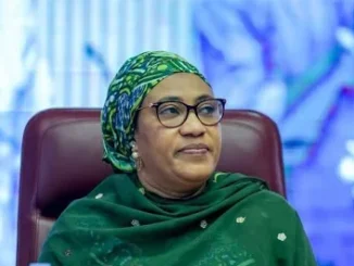 Nana shettima