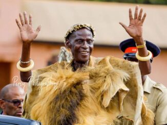 Chief Mpezeni